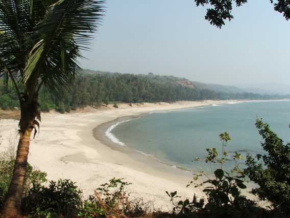 Cidade Vidda - Alibaug